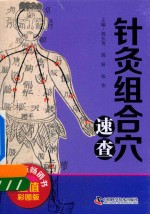[PDF] 针灸组合穴速查