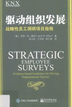 [PDF] 驱动组织发展 战略性员工调研项目指南