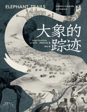 [PDF] 大象的踪迹