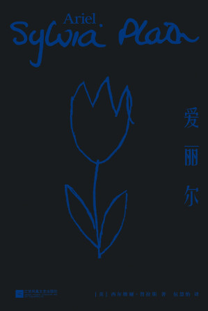 爱丽尔.EPUB