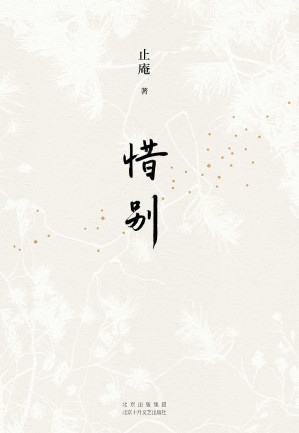 [EPUB] 惜别（向往的生活史航推荐！著名作家止庵代表作！一部回忆母亲的根本之书，一部直视生死的人生之书。读懂亲情，让人生的遗憾少一点）