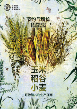 [PDF] 节约与增长的实践: 玉米, 稻谷, 小麦