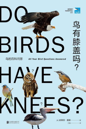 [EPUB] 鸟有膝盖吗（无穷小亮推荐！鸟的百科问答!英国皇家鸟类保护协会出品，BBC鸟类专家倾情编著，观鸟小白的首选入门便携指南，450个鸟类问题，200多幅精彩摄影作品）