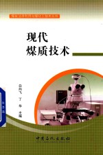 [PDF] 现代煤质技术