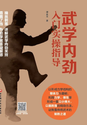 [EPUB] 武学内劲入门实操指导