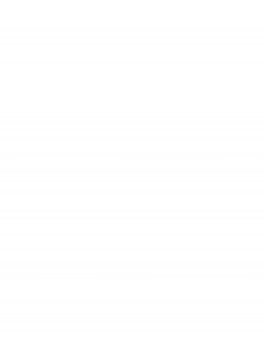 [PDF] 中国（洛阳）古墓砖图考: 公元前三世纪西汉墓砖考古学研究