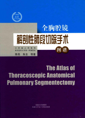 [PDF] 全胸腔镜解剖性肺段切除手术图谱
