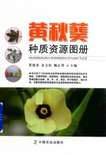 [PDF] 黄秋葵种质资源图册