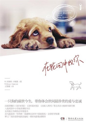 [EPUB] 在轮回中找你