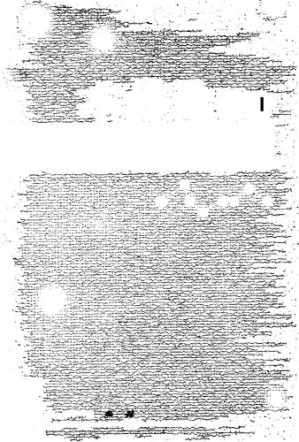 [PDF] 本体论批判