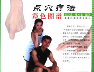 点穴疗法彩色图谱.PDF