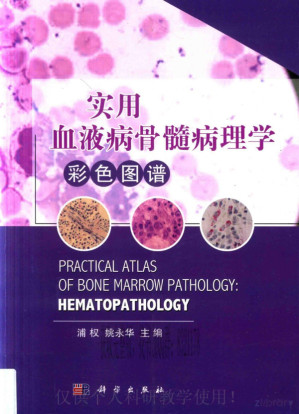 [PDF] 实用血液病骨髓病理学彩色图谱