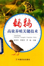[PDF] 鹌鹑高效养殖关键技术