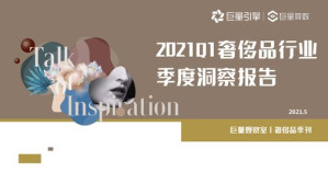 [PDF] 2021Q1奢侈品行业季度洞察报告