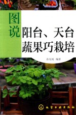 [PDF] 图说阳台、天台蔬果巧栽培